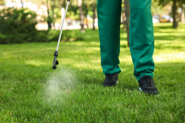 Best Pest Inspection Near Me  in Savannah, MO