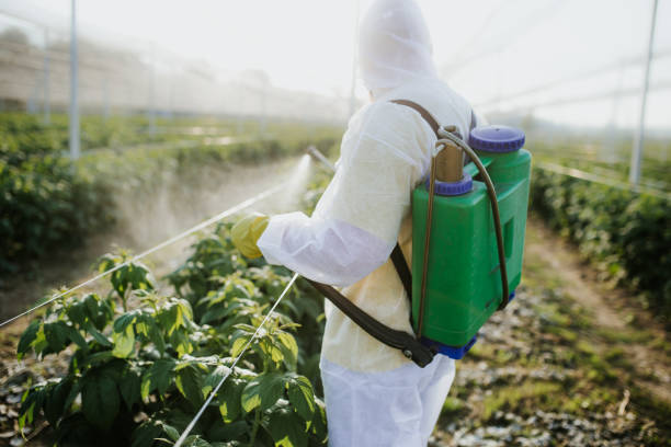 Best Affordable Pest Control Services  in Savannah, MO